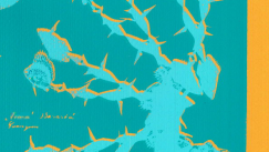 methods of cataloguing